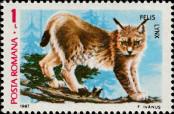 Stamp Romania Catalog number: 4385