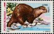 Stamp Romania Catalog number: 4387