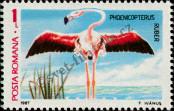 Stamp Romania Catalog number: 4390