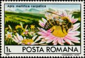 Stamp Romania Catalog number: 4407