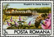 Stamp Romania Catalog number: 4409