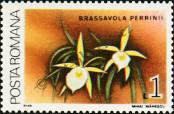Stamp Romania Catalog number: 4484