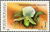 Stamp Romania Catalog number: 4485
