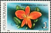 Stamp Romania Catalog number: 4486