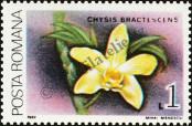 Stamp Romania Catalog number: 4489