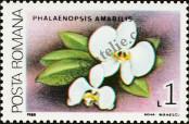 Stamp Romania Catalog number: 4491