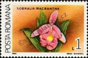 Stamp Romania Catalog number: 4493