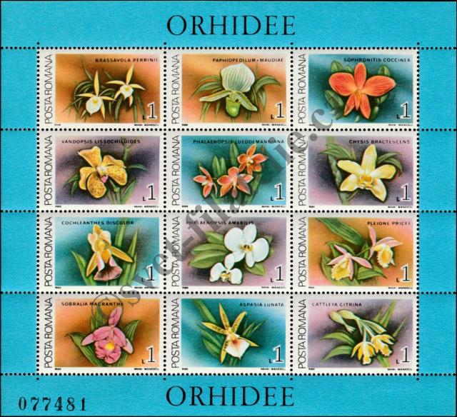 Catalog number: B/248