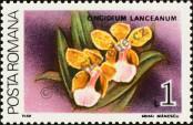 Stamp Romania Catalog number: 4496