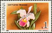 Stamp Romania Catalog number: 4497