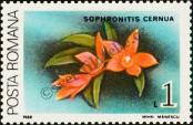 Stamp Romania Catalog number: 4498