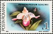 Stamp Romania Catalog number: 4502
