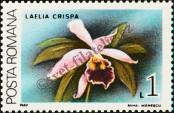 Stamp Romania Catalog number: 4504