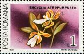 Stamp Romania Catalog number: 4505