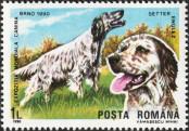 Stamp Romania Catalog number: 4604
