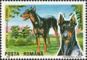 Stamp Romania Catalog number: 4607