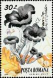 Stamp Romania Catalog number: 5005