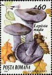 Stamp Romania Catalog number: 5006