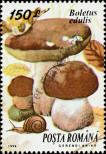 Stamp Romania Catalog number: 5007