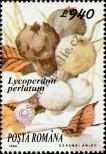 Stamp Romania Catalog number: 5008