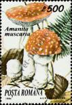 Stamp Romania Catalog number: 5012