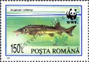 Stamp Romania Catalog number: 5034