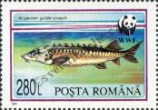 Stamp Romania Catalog number: 5035