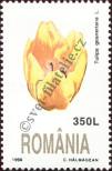 Stamp Romania Catalog number: 5348