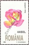 Stamp Romania Catalog number: 5351