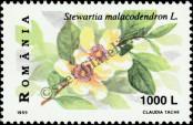 Stamp Romania Catalog number: 5390