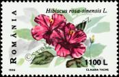 Stamp Romania Catalog number: 5391