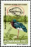 Stamp Romania Catalog number: 5415
