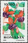 Stamp Romania Catalog number: 5481
