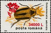 Stamp Romania Catalog number: 5498