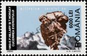 Stamp Romania Catalog number: 5507