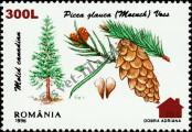 Stamp Romania Catalog number: 5523