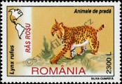 Stamp Romania Catalog number: 5535