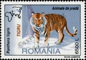 Stamp Romania Catalog number: 5537