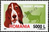 Stamp Romania Catalog number: 5575