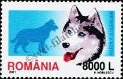 Stamp Romania Catalog number: 5576