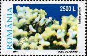 Stamp Romania Catalog number: 5608
