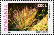 Stamp Romania Catalog number: 5609