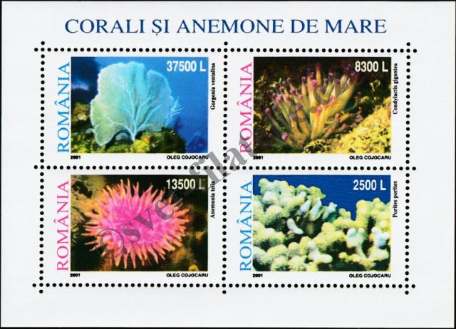 Catalog number: B/318