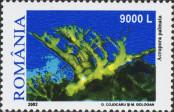 Stamp Romania Catalog number: 5635