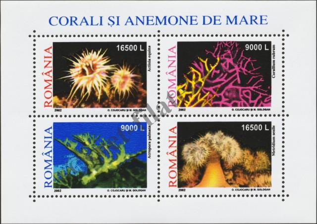 Catalog number: B/319