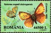 Stamp Romania Catalog number: 5680