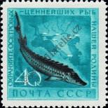 Stamp Soviet Union Catalog number: 2244