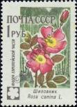 Stamp Soviet Union Catalog number: 2425/A