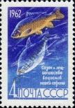 Stamp Soviet Union Catalog number: 2640