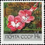 Stamp Soviet Union Catalog number: 3624